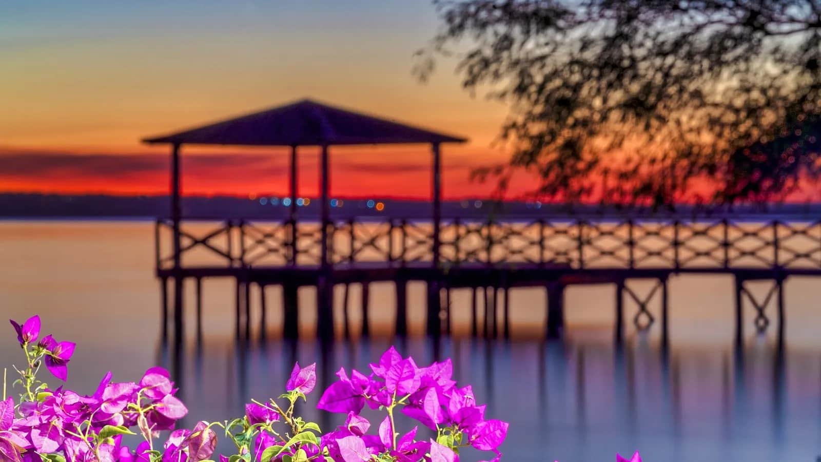 Coucher de soleil sur le lac Ypacaraí, avec un ponton et un belvédère couvert derrière des bougainvilliers en fleur