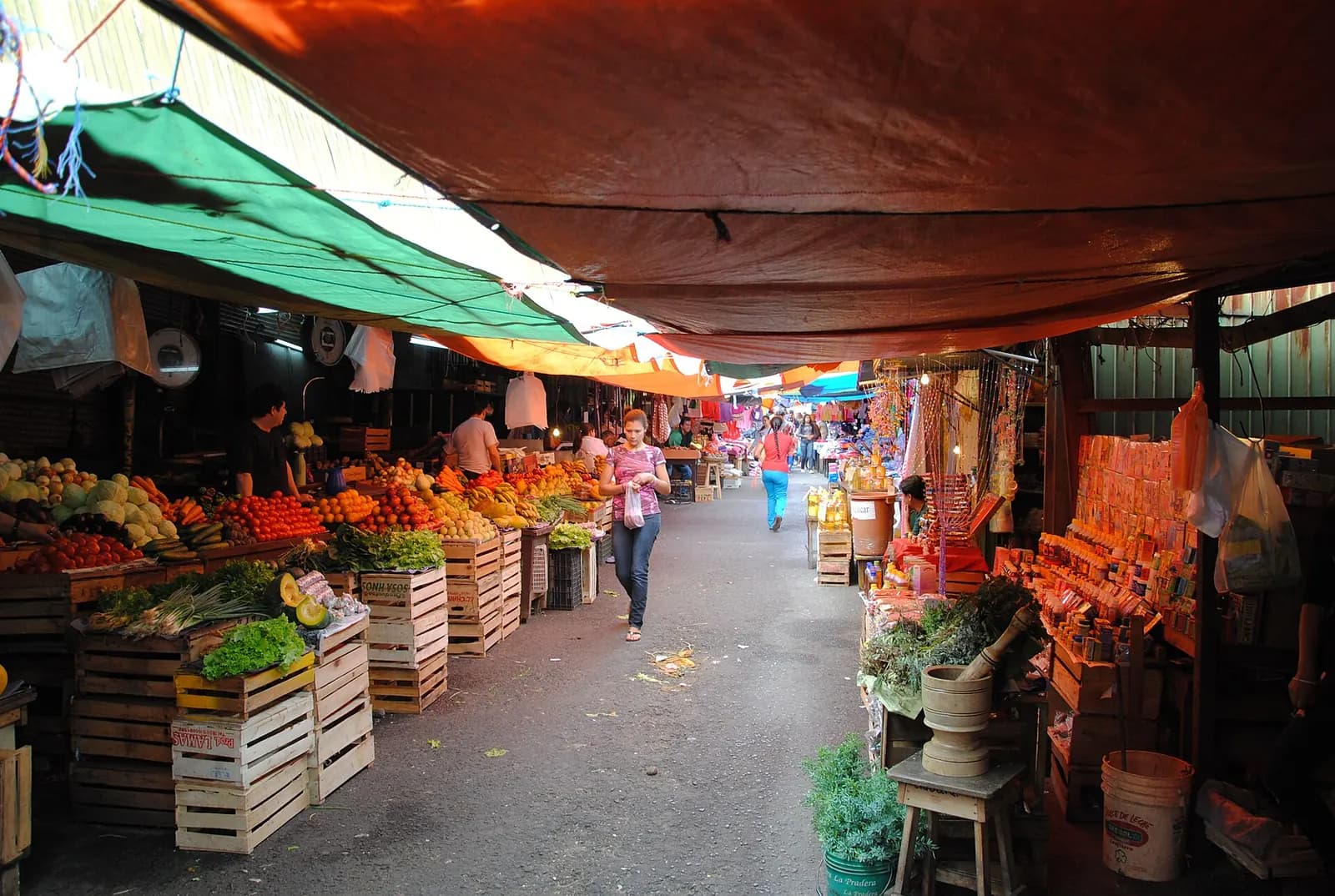 Allée du Mercado 4 d'Asunción avec étals de fruits, légumes et herbes sous des bâches