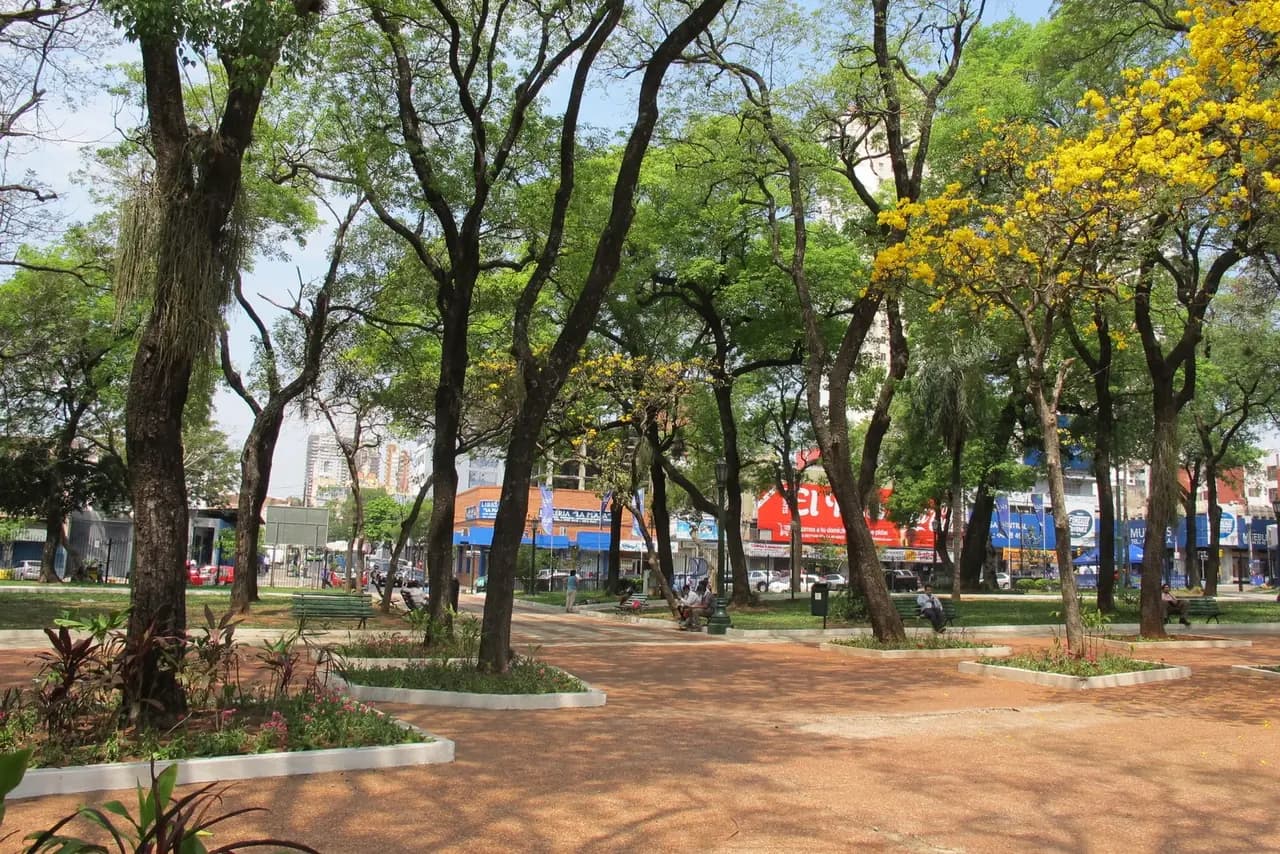 Allées ombragées et arbres en fleurs jaunes de la Plaza Uruguaya, au centre d'Asunción