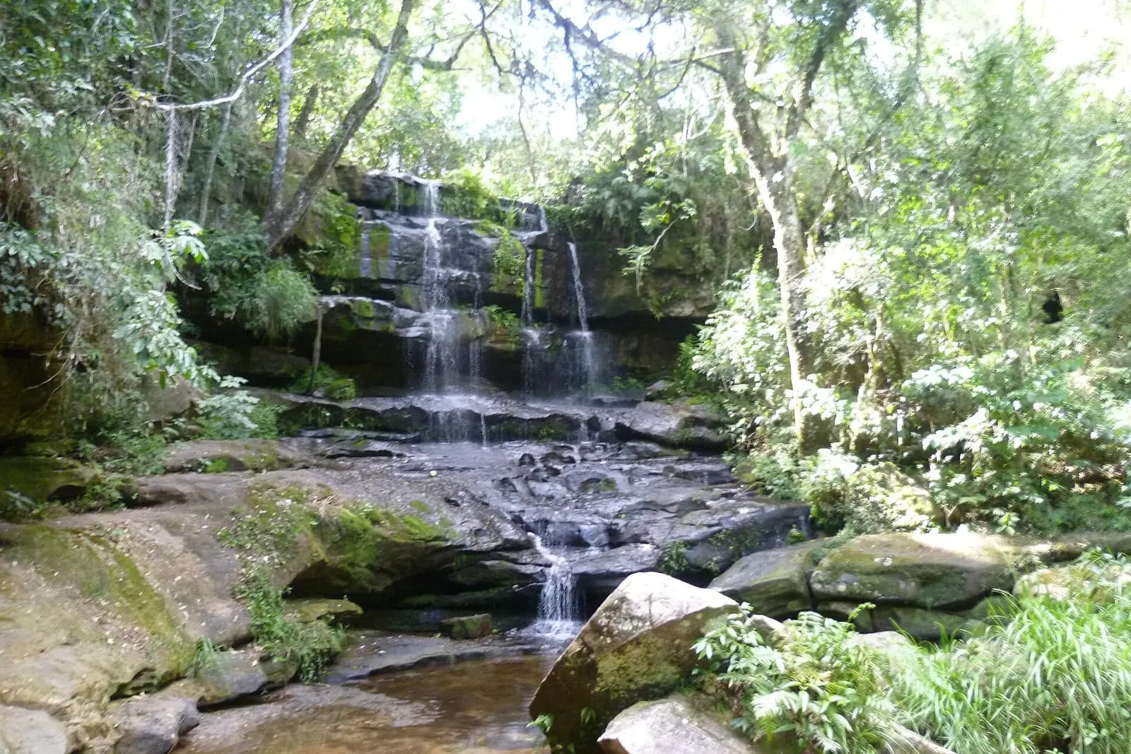 Le Salto Guaraní, cascade étagée en forêt, dans le parc national Ybycuí (Paraguarí)