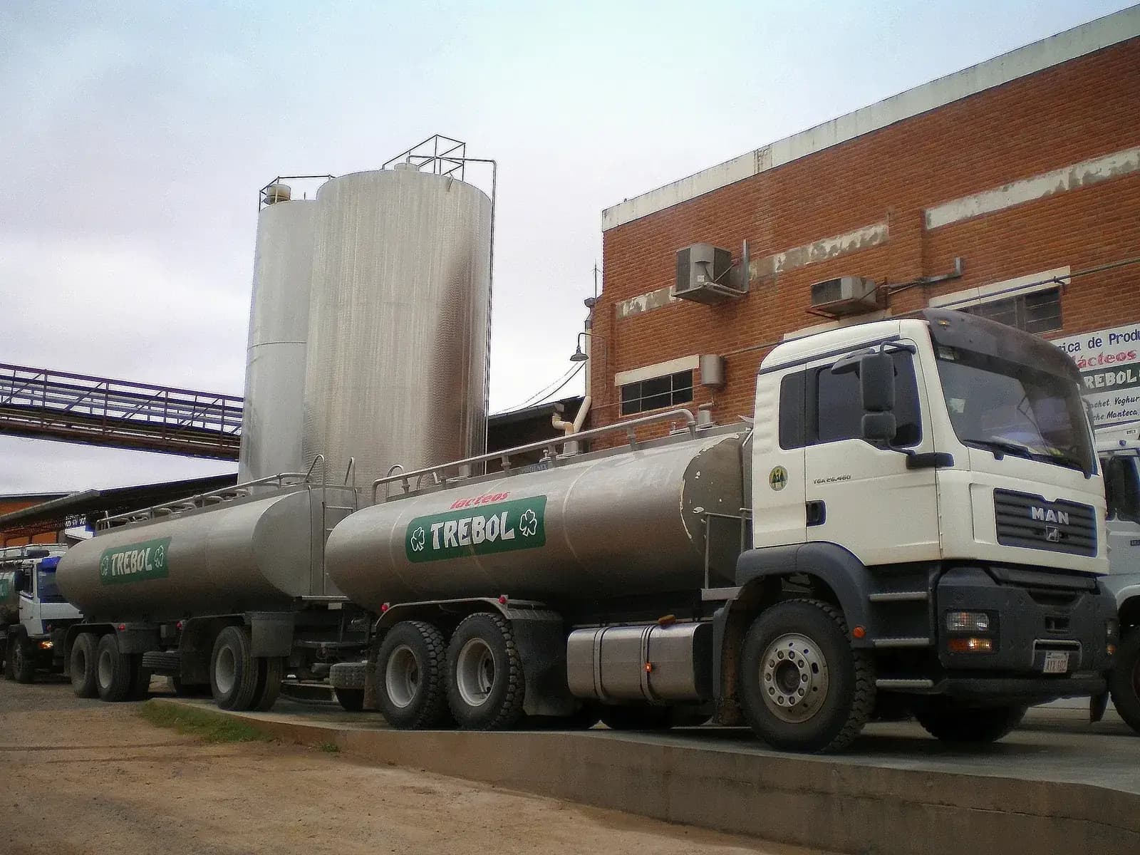 Camions-citernes de lait Trébol devant l'usine laitière de la coopérative Chortitzer à Loma Plata