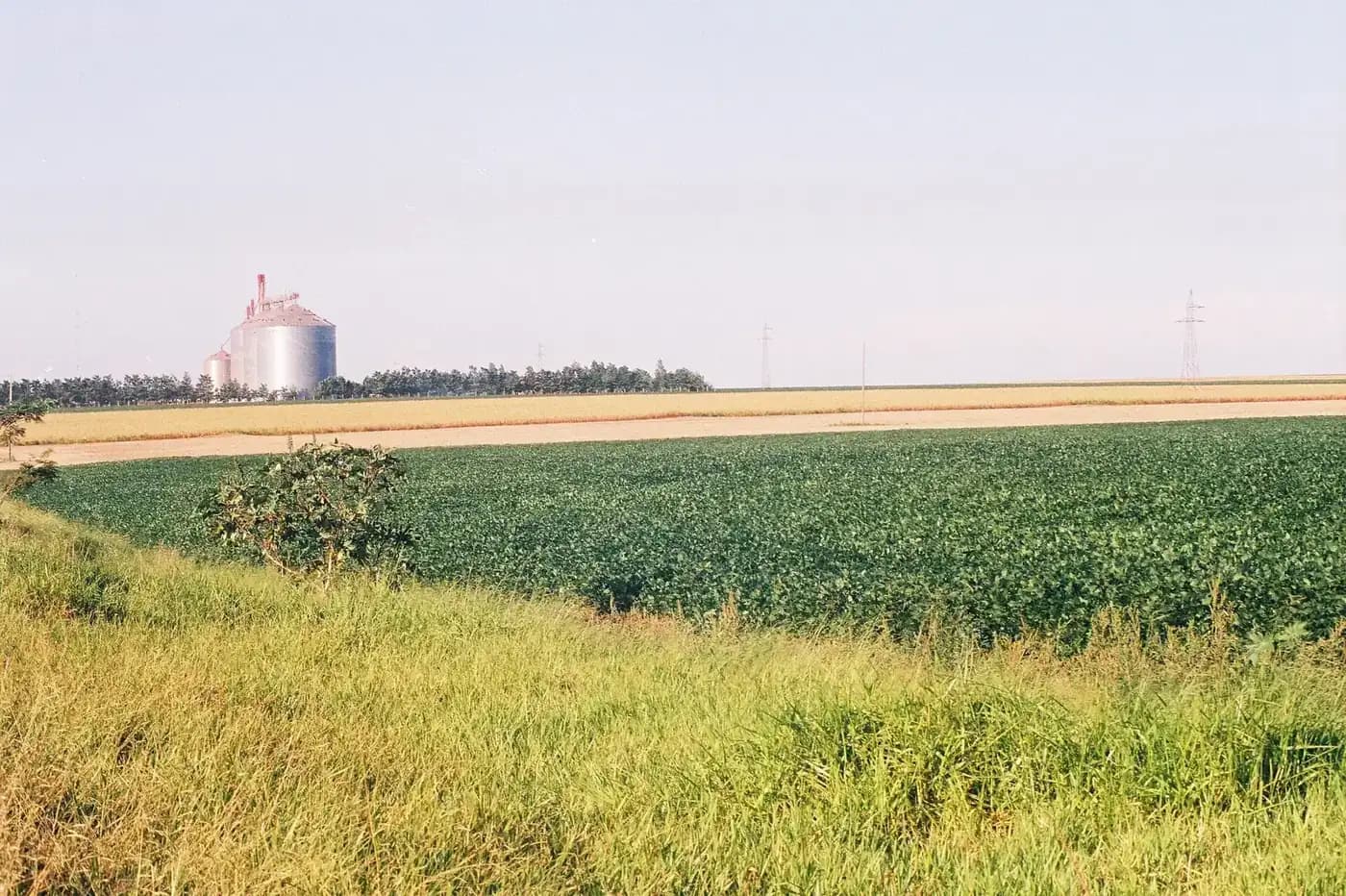 Champ de soja et silo de stockage de grains dans la campagne paraguayenne