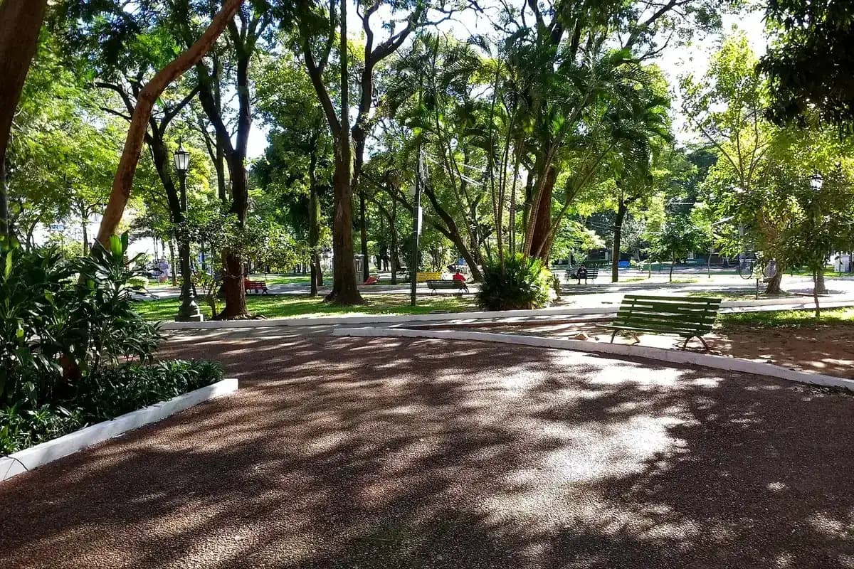 Allée ombragée et bancs de la Plaza Uruguaya, square arboré du centre d'Asunción